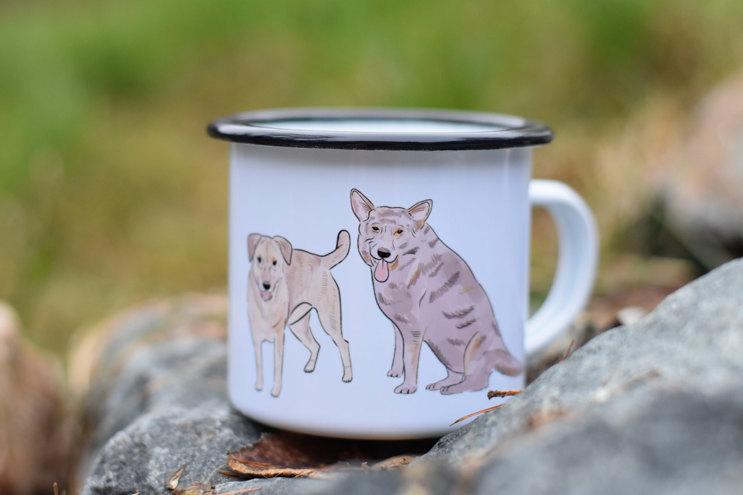 Plecháček - Image 5