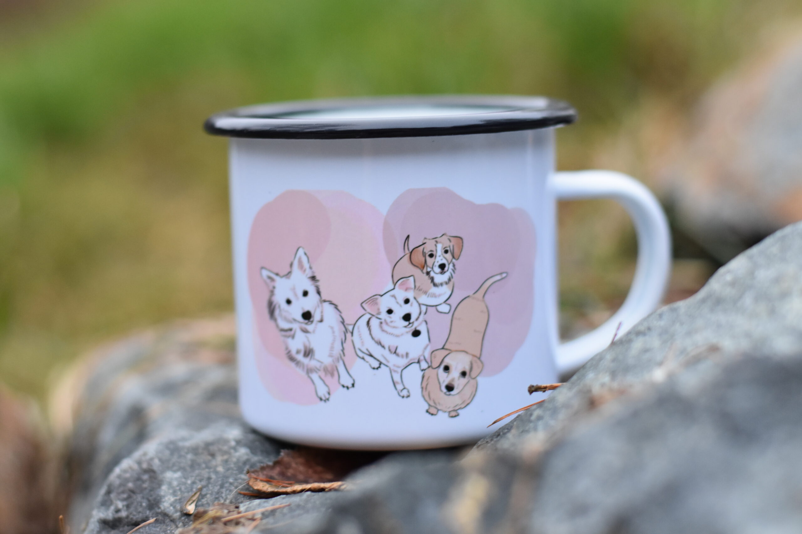 Plecháček - Image 7