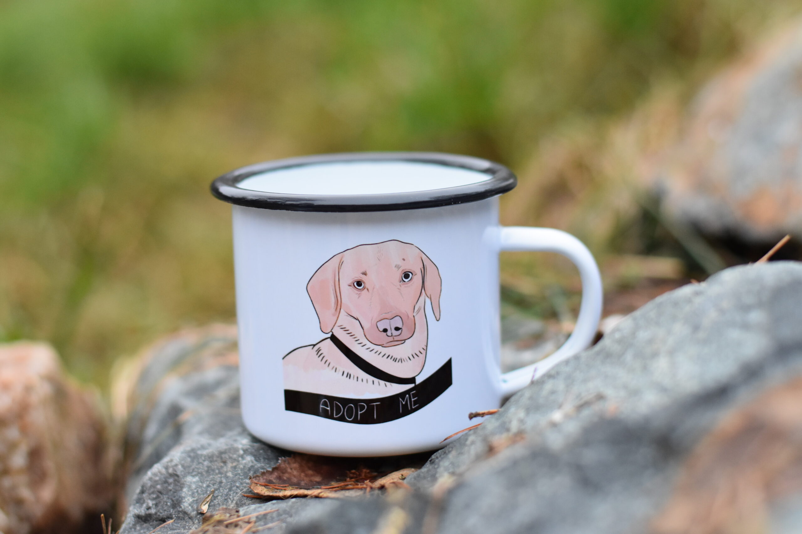 Plecháček - Image 3