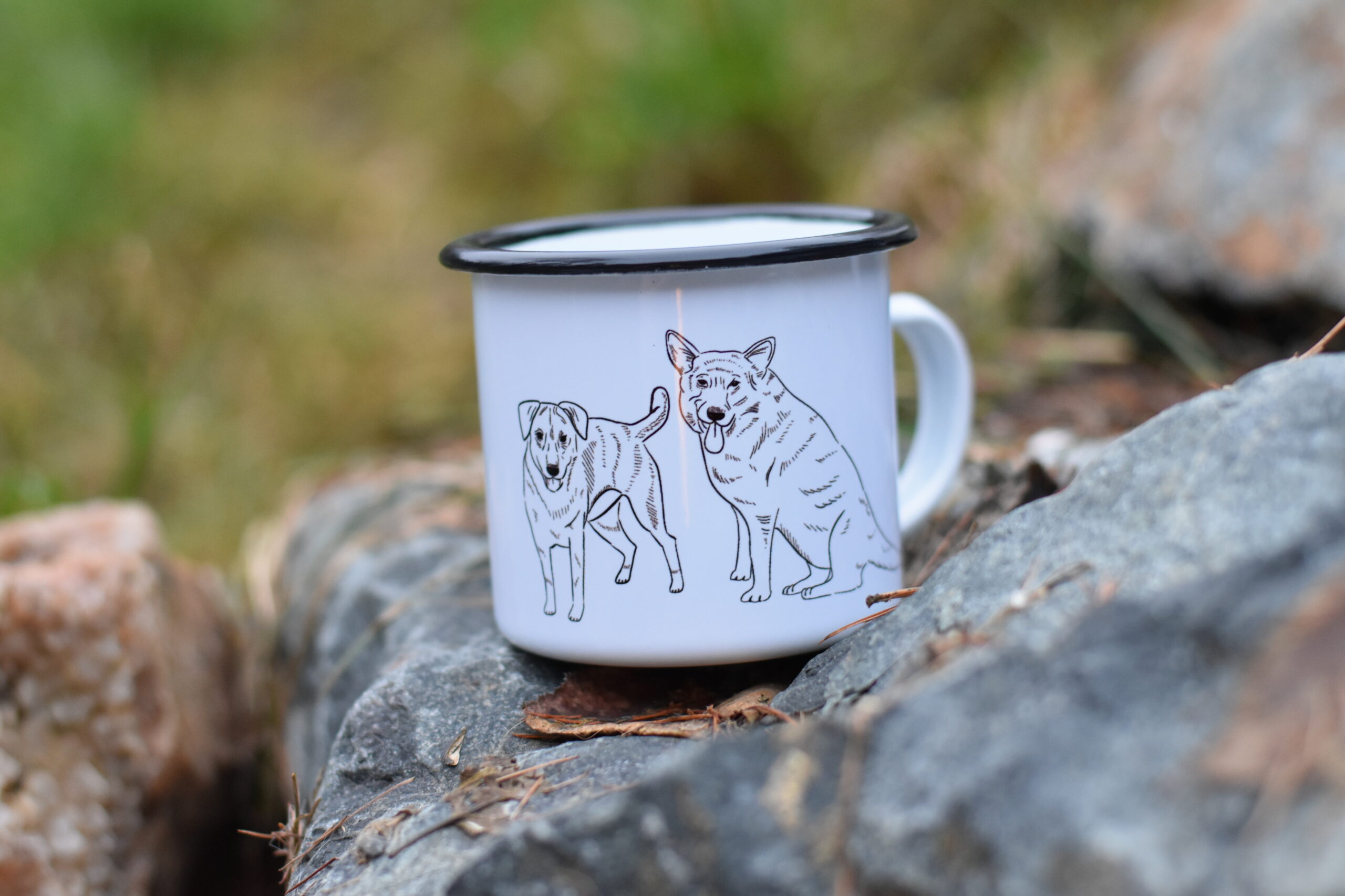 Plecháček - Image 4