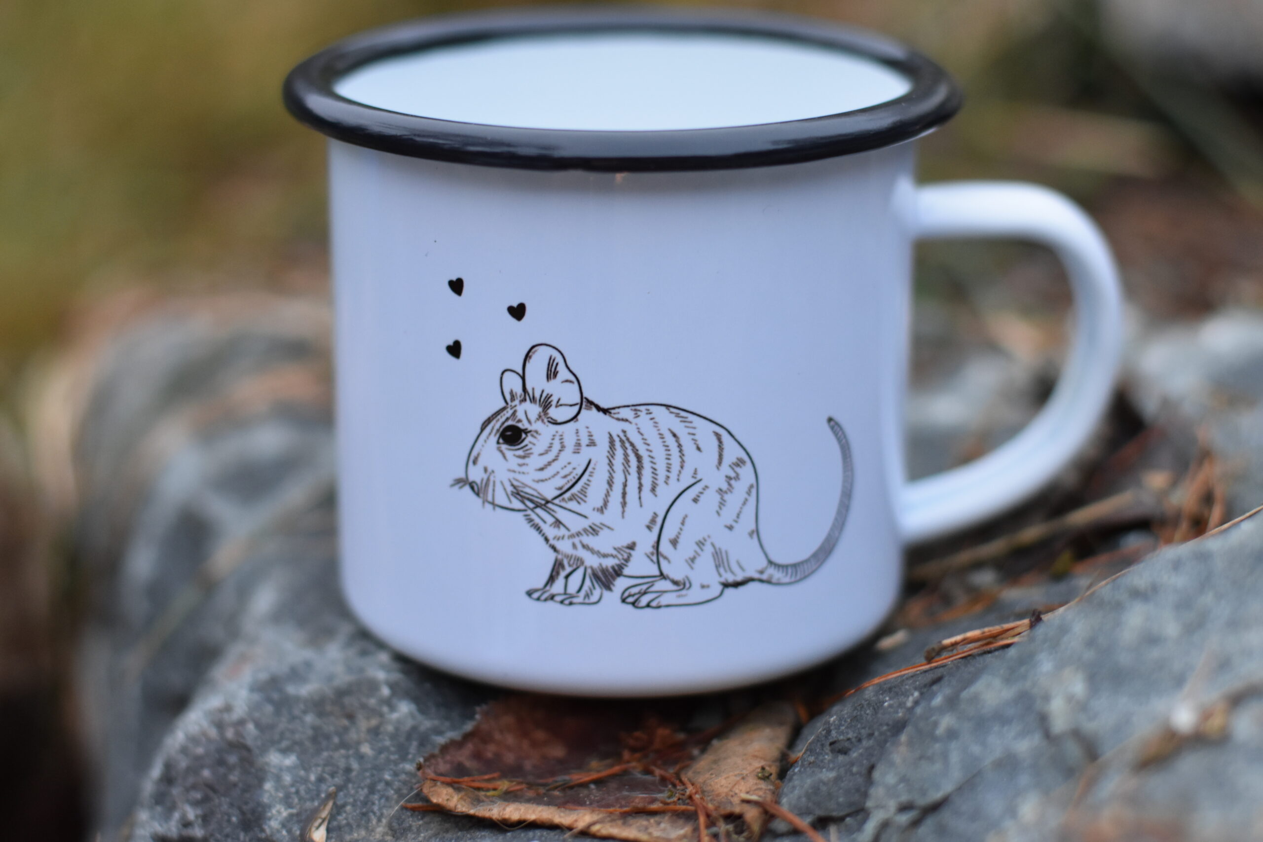 Plecháček - Image 6