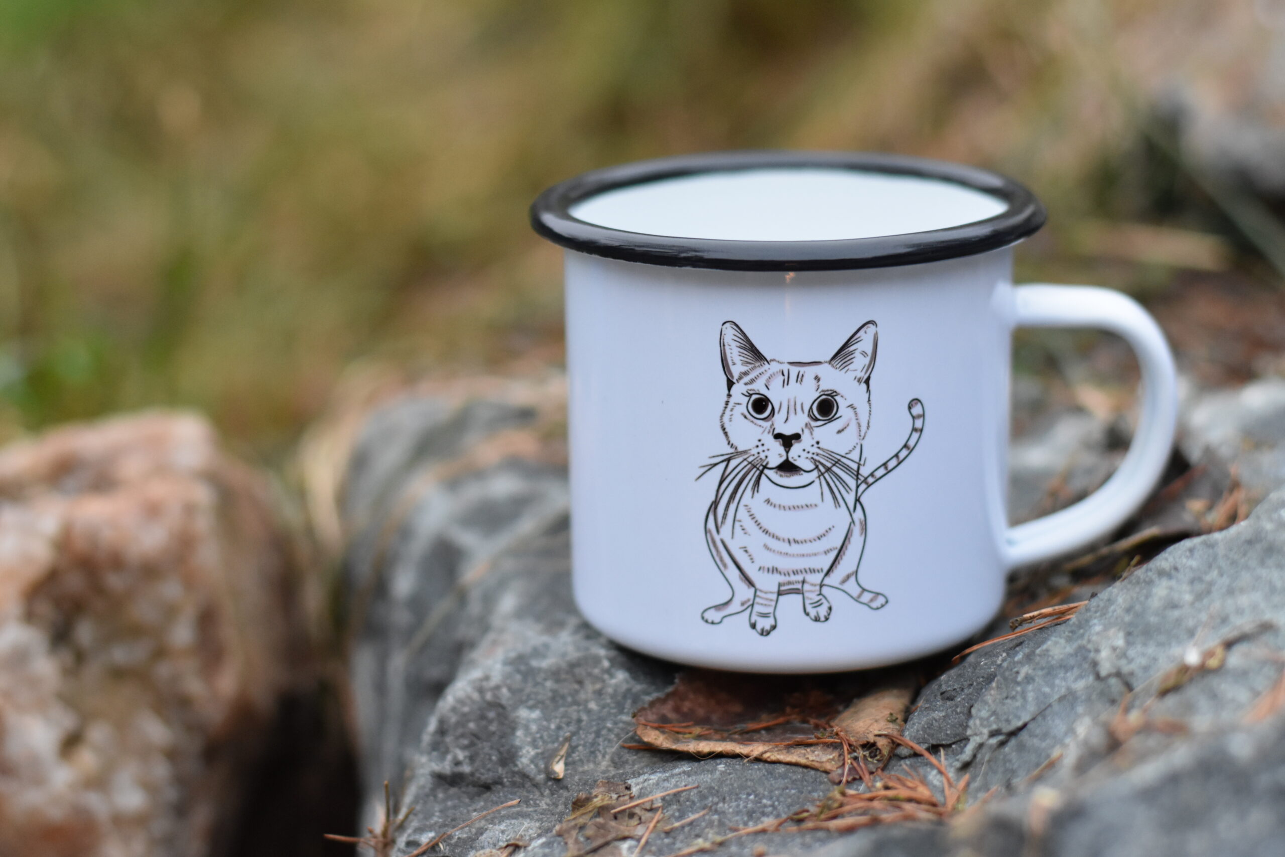 Plecháček - Image 2