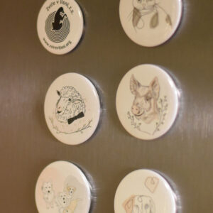 Magnetka 4,4 cm s našimi svěřenci