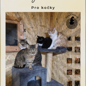 Poukaz - přispějte na kočky