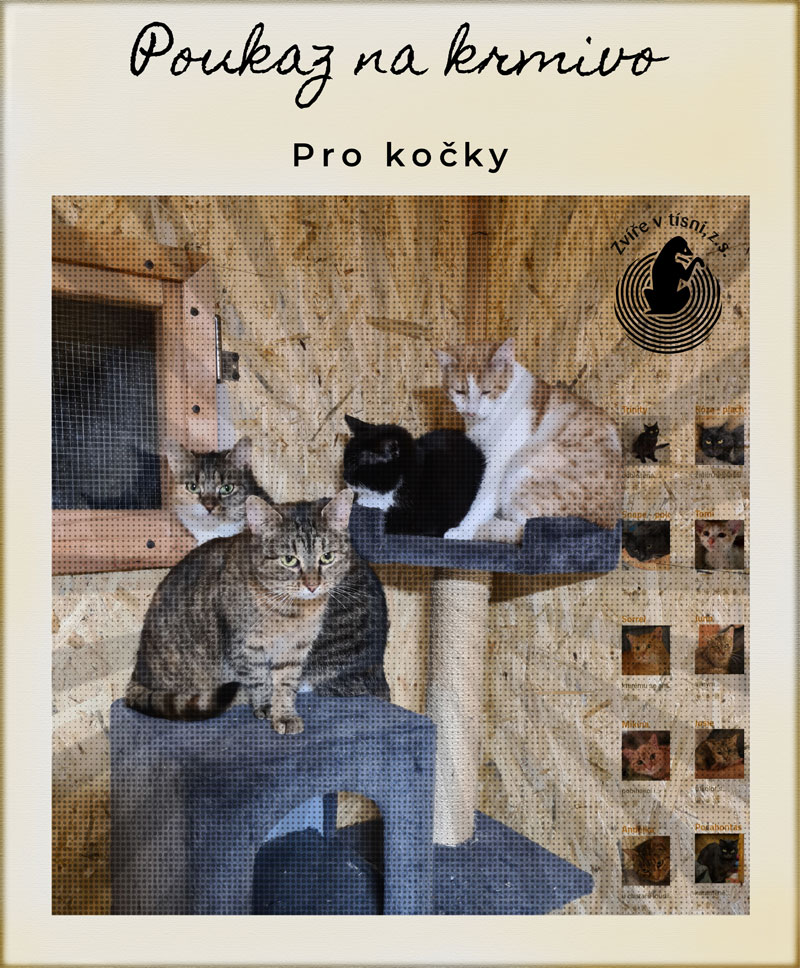 Poukaz - přispějte na kočky