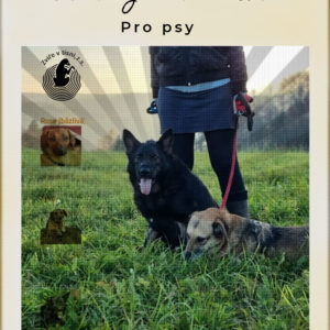 Poukaz - přispějte na psy