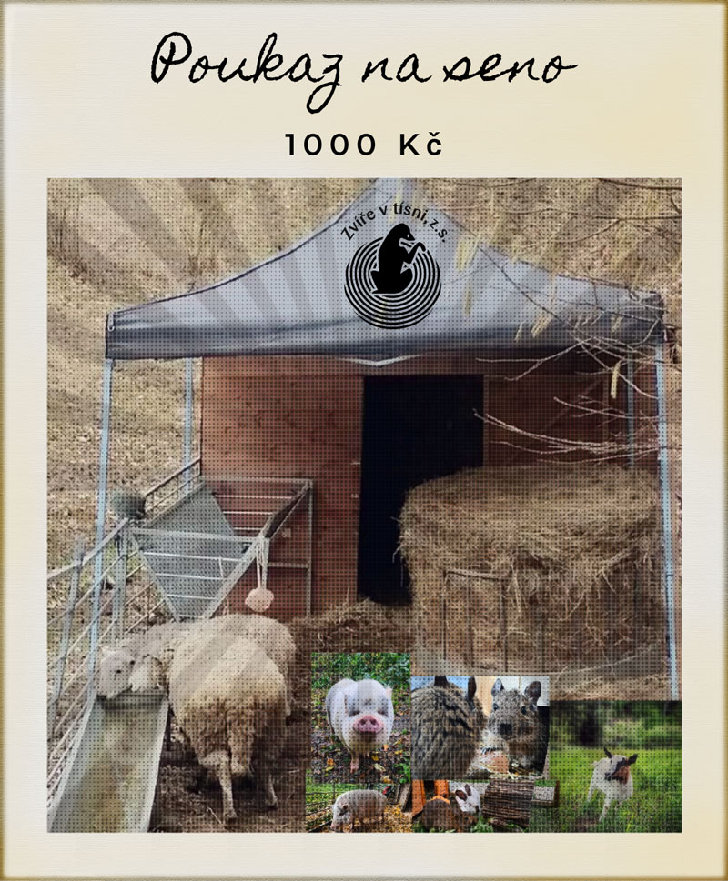 Poukaz - přispějte na seno