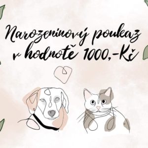 Narozeninový poukaz